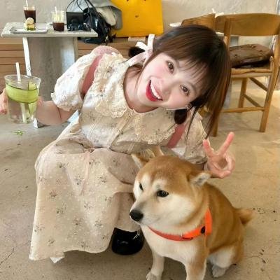 佛兰德斯的狗